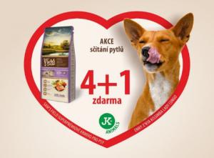 AA / AI